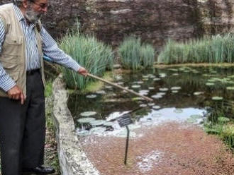 Botanik kvôli koronavírusu uviazol vo svojom tropickom raji: Pozrite na tú nádheru, mnohí mu závidia