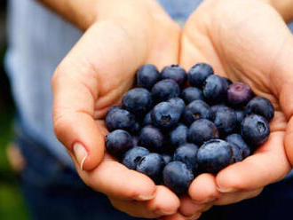 Rodinné balenie 5 kg čerstvých čučoriedok lesných z našich slovenských hôr od MaMa Natura.