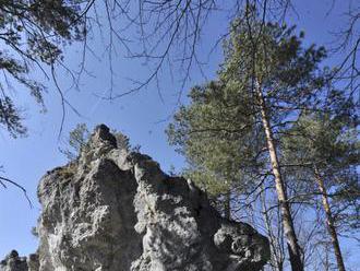 Global Footprint Network: Ľudstvo bude od nedele žiť na ekologický dlh