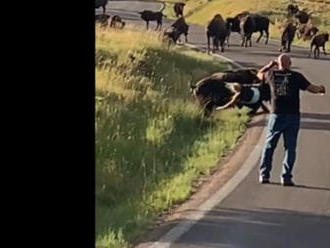 Na motorkárku zaútočil bizón a vyzliekol ju z nohavíc! Šialené VIDEO