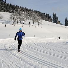 Běžky jsou bezpečný a levný sport aneb 4 tipy pro běžkaře