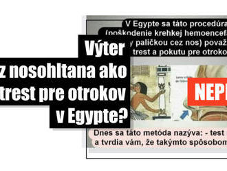 Zdieľaný obrázok Egypťanov nemá nič spoločné s testom na Covid-19