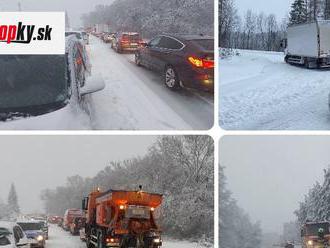 Východné Slovensko zasypal sneh: VIDEO Obrovská kalamita, popadané stromy aj výpadok elektriny