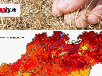 Veľká ANALÝZA sucha na Slovensku za rok 2020: Viaceré oblasti čelili extrémnej situácii