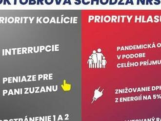 Chlapec z OĽANO chce zakázať potraty a legalizovať prostitúciu