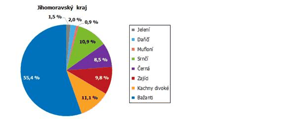 Stav a lov vybraných druhů zvěře v Jihomoravském kraji  v roce 2020