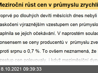 Meziroční růst cen v průmyslu zrychlil na 9,9 %  