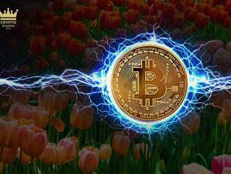 Stále srovnáváte Bitcoin s tulipánovou horečkou? Přestaňte!