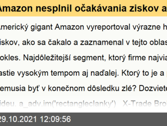 Amazon nesplnil očakávania ziskov ani tržieb  