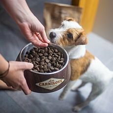 Granule Carnilove s čerstvým masem servírují psům jedinečný chuťový zážitek