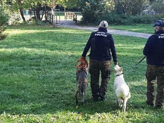 Pri prípade z Bratislavy naskočí husia koža všetkým rodičom: Policajti objavili plačúce dievčatko! Na toto pozor