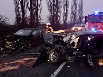 Provoz na silnici č. 33 u Trotiny zastavila dopravní nehoda dvou osobních aut, při které se zranilo…