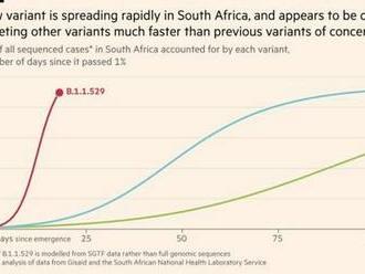 Infekčnejší a možno ešte nebezpečnejší. Čo zatiaľ vieme o mutácii vírusu B.1.1.529?
