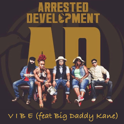 Vibe Arrested Development