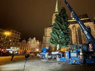 Plzeň má na náměstí Republiky vánoční strom. Ustaven byl před jedenáctou hodinou večerní