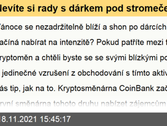 Nevíte si rady s dárkem pod stromeček pro své blízké? Máme pro vás jeden tip