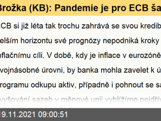 Brožka  : Pandemie je pro ECB šancí vrátit měnovou politiku do normálnější podoby