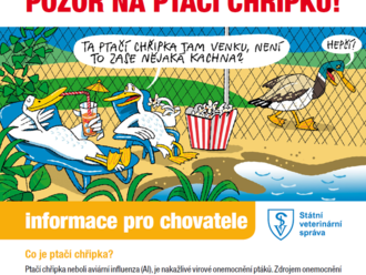 Liberec: Pozor na ptačí chřipku