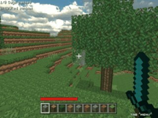 Minecraft World