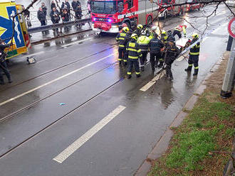 Pražští hasiči transportovali pomocí lezecké techniky zraněnou osobu ze svahu pod Vyšehradskými…