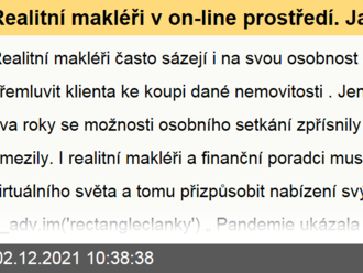 Realitní makléři v on-line prostředí. Jak mají fungovat?