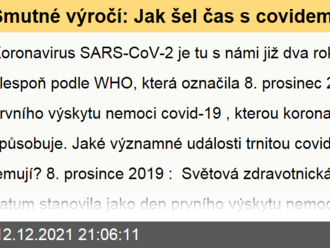 Smutné výročí: Jak šel čas s covidem-19