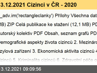 13.12.2021 Cizinci v ČR - 2020