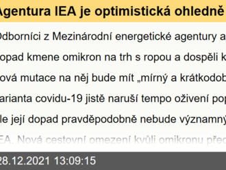 Agentura IEA je optimistická ohledně poptávky po ropě v roce 2022