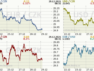 Koruna prolomila hranici 25 EUR/CZK