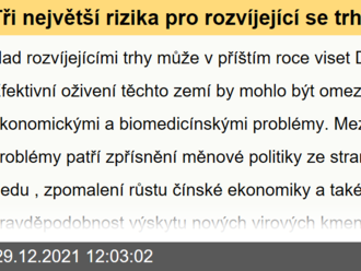 Tři největší rizika pro rozvíjející se trhy v roce 2022