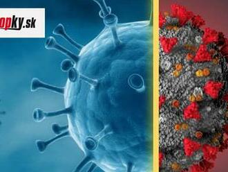 Nová hrozba na obzore? Juhoafrický omikron asi má svoj dôvod, možný súvis s HIV pozitívnymi osobami!