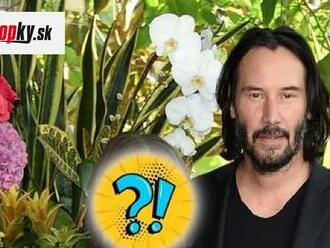 Jedno z najdlhších manželstiev v Hollywoode? Keanu Reeves je ženatý! Keď to tvrdia, zrejme to tak bude