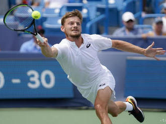 Goffin prvým semifinalistom turnaja ATP v Montpellieri