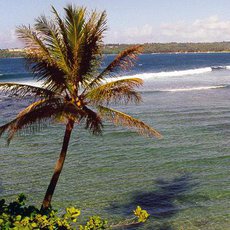 Cestománie - Martinik a Guadeloupe: Žhavé Malé Antily