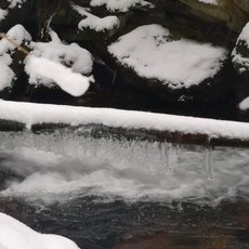 Zimní houbaření