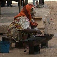 Cestománie - Senegal: Ve stínu baobabu