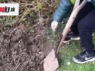 VIDEO Chlapec   šiel do záhrady pátrať po skamenelinách: Pri kopaní narazil na neskutočný objav