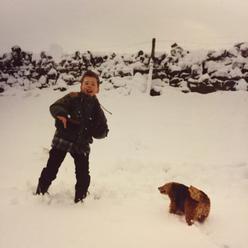 Throwing Snow lúšti zložitosť súčasného sveta