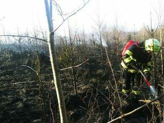 Požiar lesnej mladiny pri Žiline sa hasičom podarilo lokalizovať