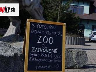 ROZHOVOR s riaditeľkou ZOO Bratislava: Pomoc nám sľúbil aj Matovič, nedočkali sme sa