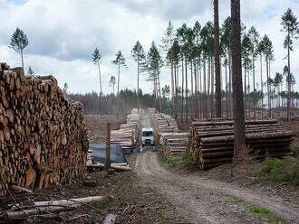 Není to soutěž, v otázkách klimatu prohráváme všichni. Co čekat od Klimatické žaloby?