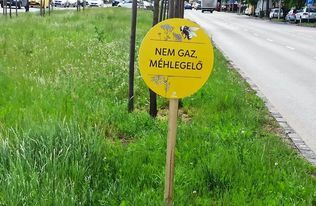 “Nem gaz, méhlegelő” - igen, tényleg ezt írták ki Újbudán