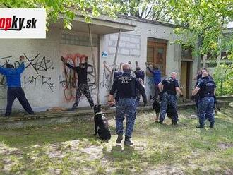 Policajní kynológovia zabránili krádeži na Uránovej ulici v bratislavskom Ružinove