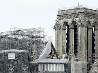 Vyťali prvé stáročné duby na obnovu poškodenej katedrály Notre-Dame