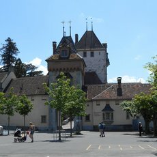 Prohlídka jezerního hradu Oberhofen a plavba do Spiezu