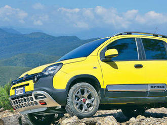 Fiat Panda Cross: Nejlevnější medvídek s pohonem 4x4