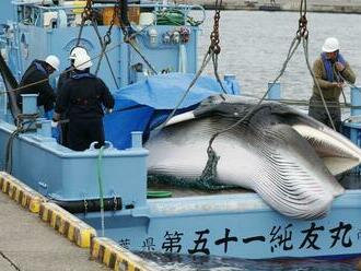 Japonsko po zrážke lodí pri ostrove Hokkaido vzalo do väzby ruského námorného dôstojníka