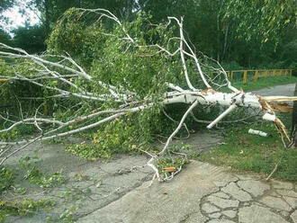 TRAGÉDIA V ČESKU: Na auto spadol strom, zomreli dvaja ľudia