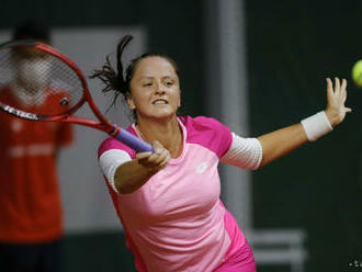 Kužmová prehrala v 2. kole na turnaji WTA v Gdyni so Zanevskou