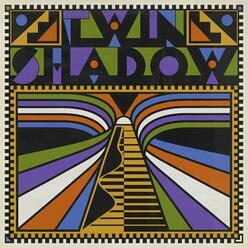 Twin Shadow – Twin Shadow